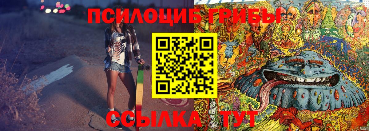 Псилоцибиновые грибы мицелий Йошкар-Ола