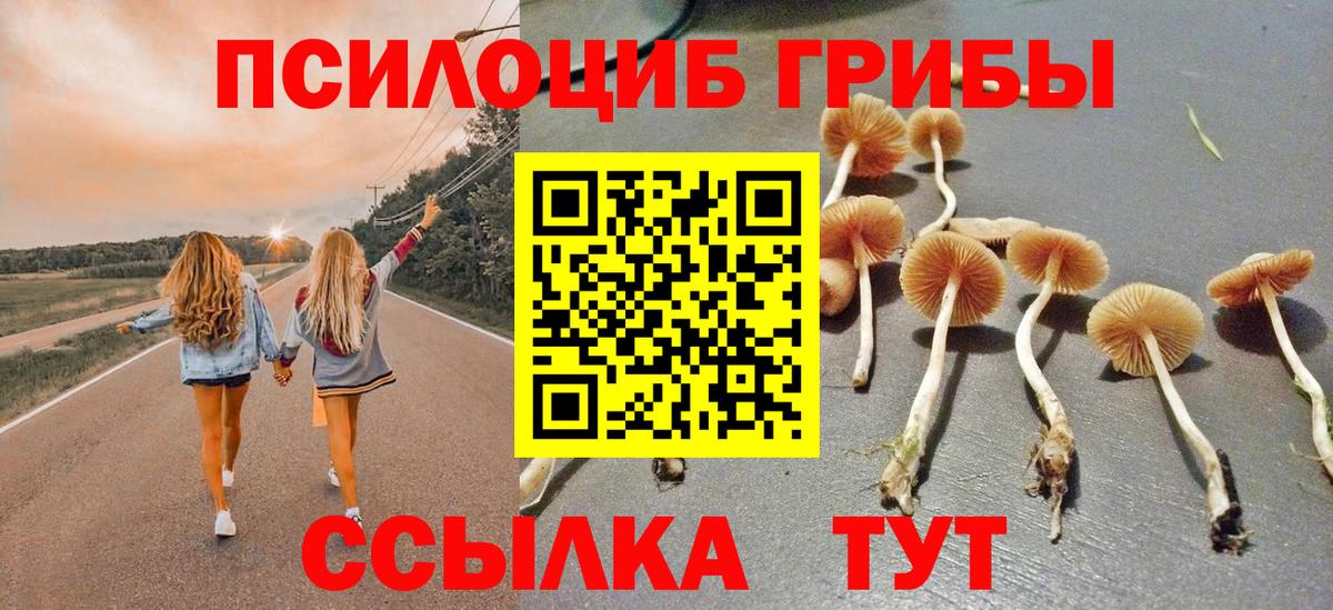 Йошкар-Ола  Галлюциногенные грибы Cubensis  Вход с VPN 